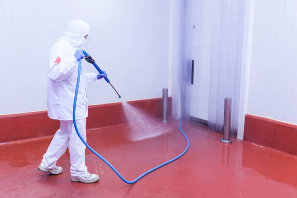 Reliable Giddings, TX Pressure Washing Services Solutions