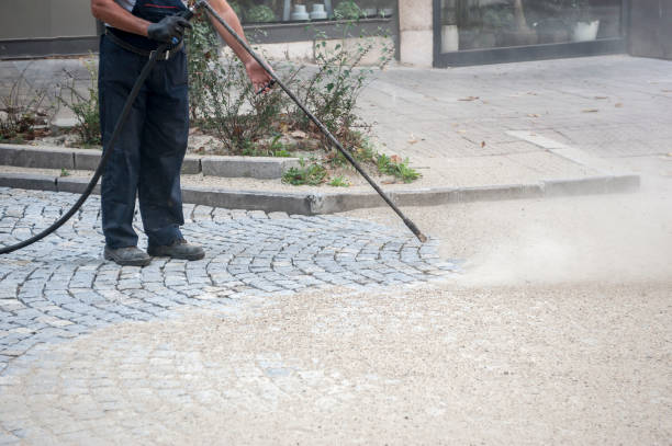 Best Brick and Stone Cleaning in Giddings, TX