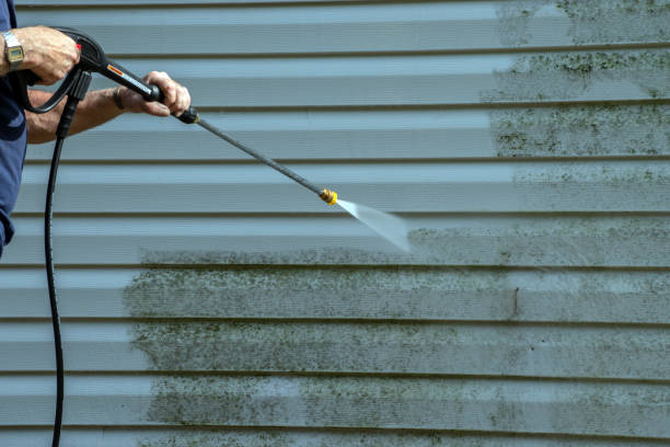 Best Vinyl Siding Pressure Washing in Giddings, TX